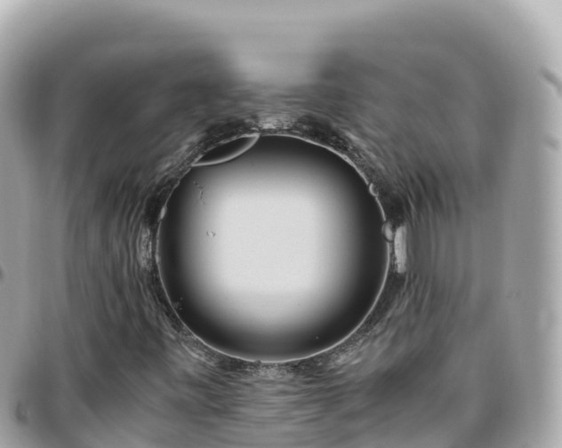 X0000096221443200801251046