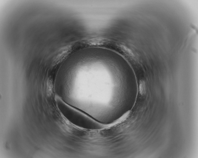 X0000096221444200801251046