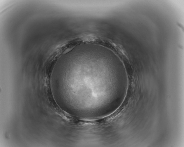 X0000096221445200801251046