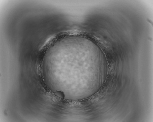 X0000096221446200801251046