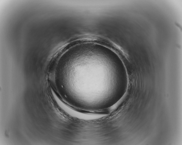 X0000096221448200801251046