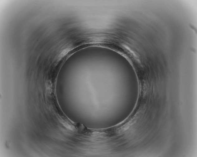 X0000096221449200801251046