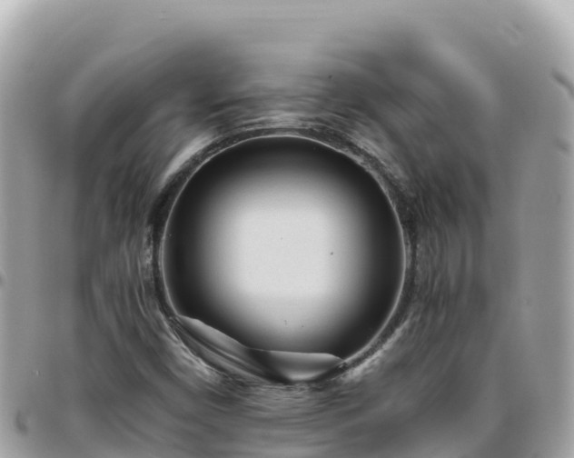 X0000096221450200801251046