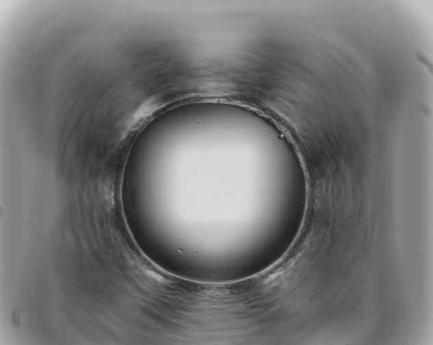 X0000096221451200801251046