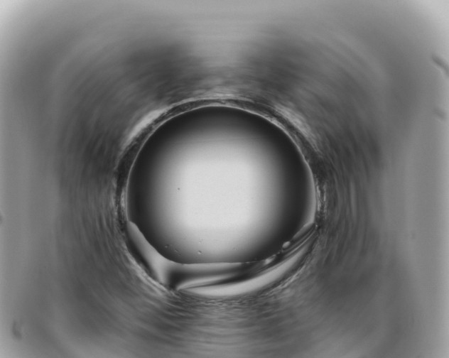 X0000096221452200801251046