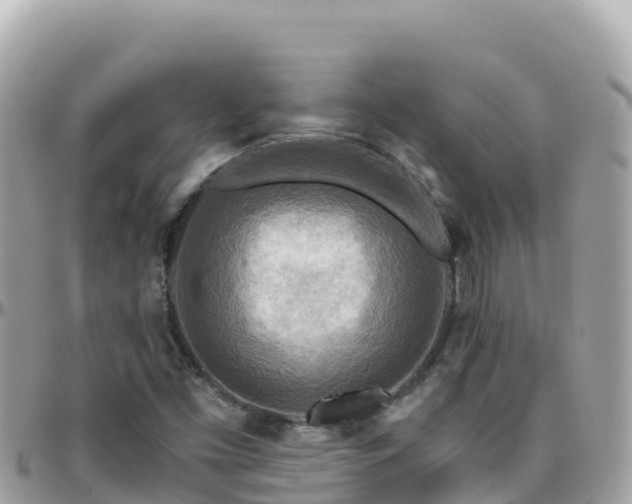 X0000096221453200801251046