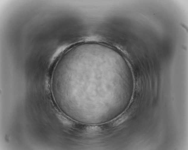 X0000096221454200801251046