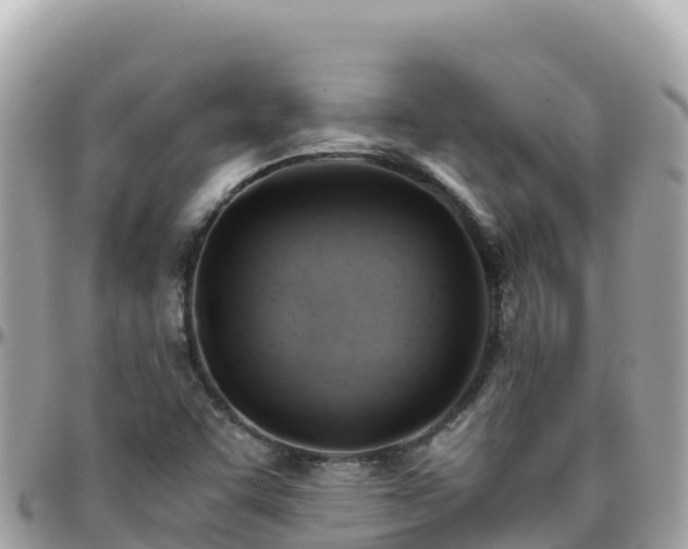 X0000096221455200801251046