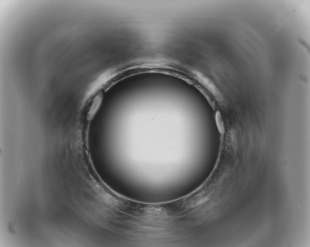 X0000096221456200801251046