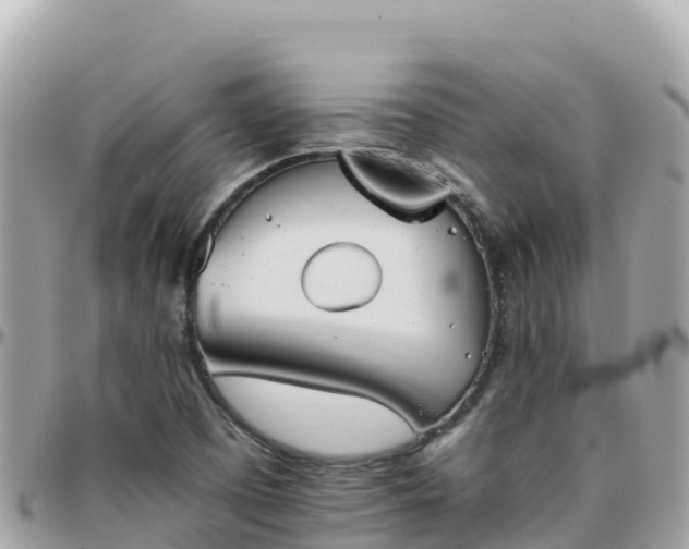 X0000096221457200801251046