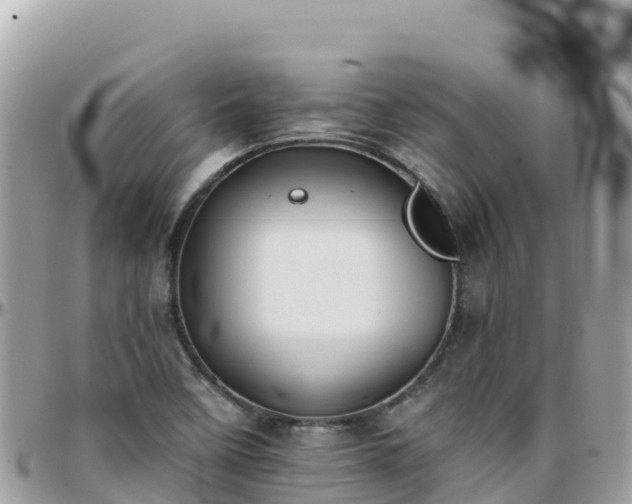 X0000096221458200801251046