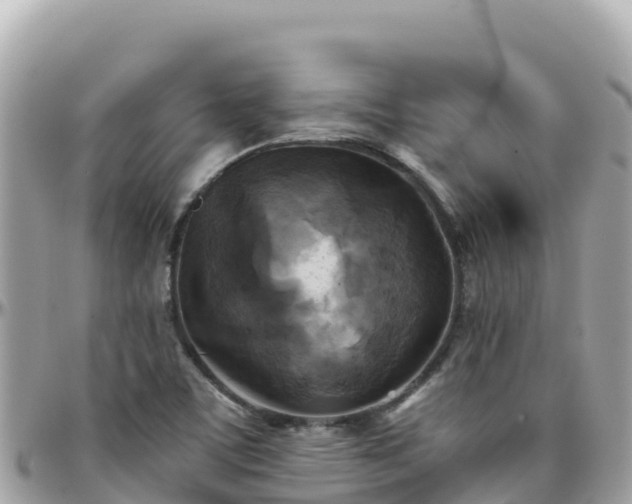 X0000096221459200801251046