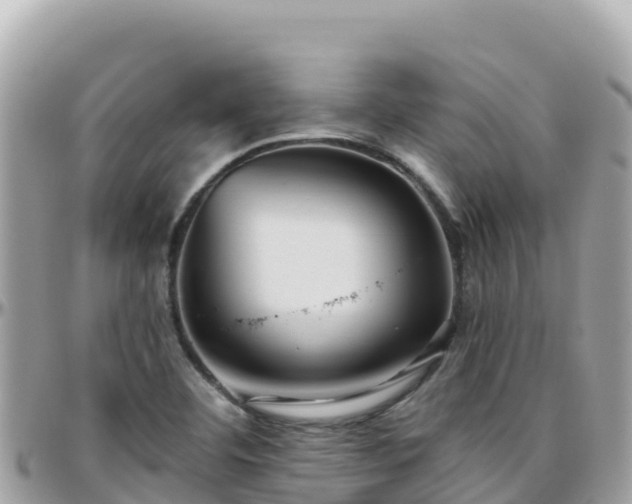 X0000096221460200801251046