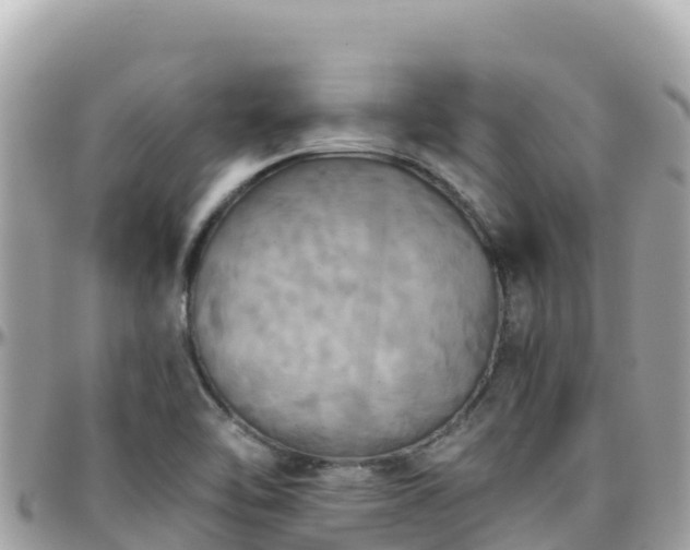 X0000096221462200801251046