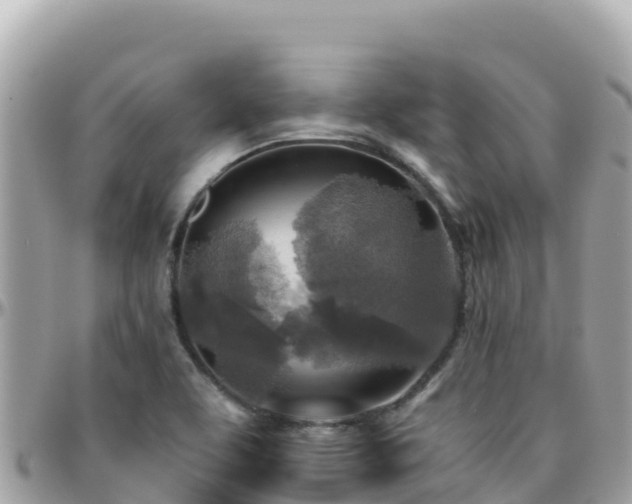 X0000096221463200801251046