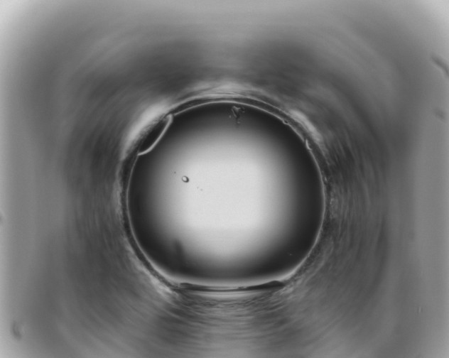 X0000096221464200801251046