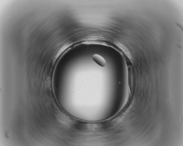 X0000096221465200801251046