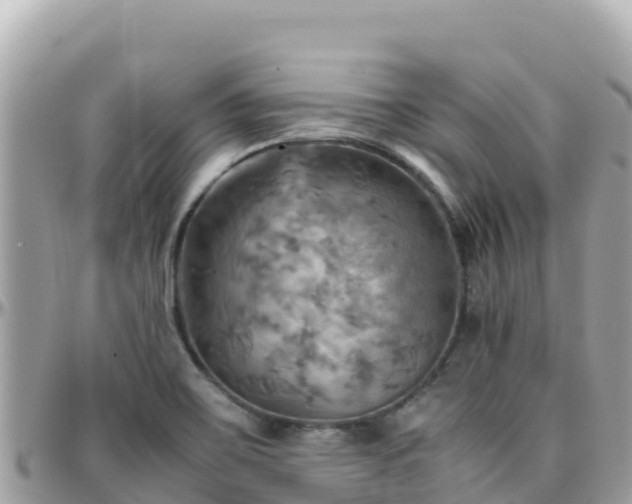 X0000096221467200801251046