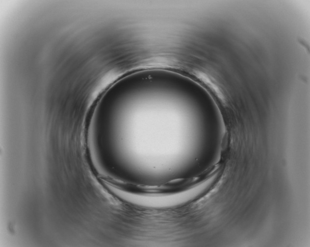 X0000096221469200801251046