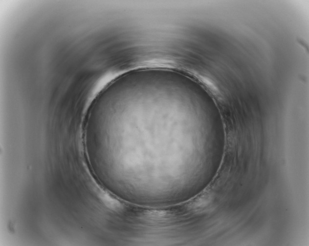 X0000096221470200801251046