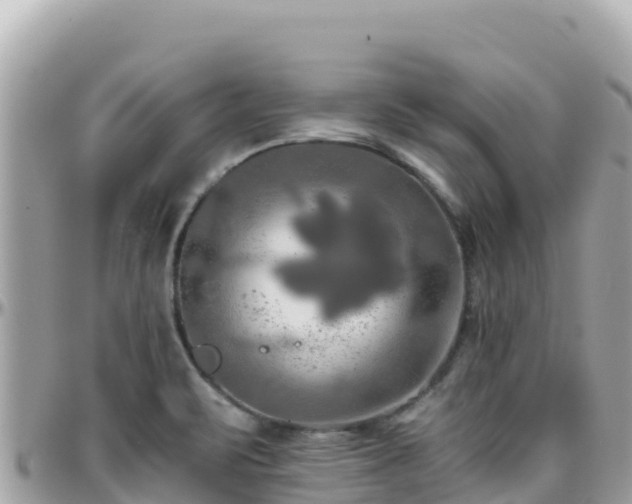 X0000096221471200801251046