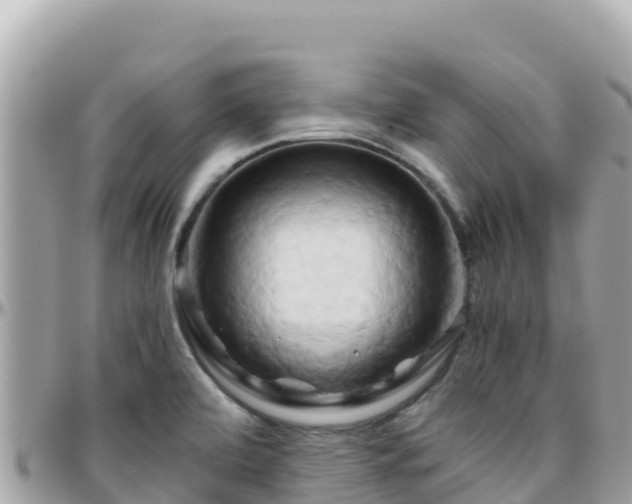 X0000096221472200801251046