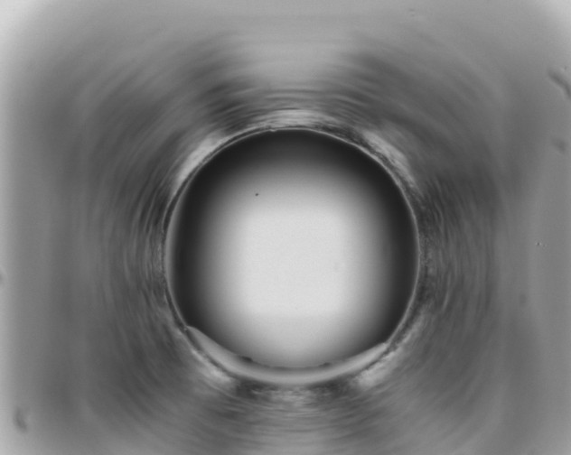 X0000096221473200801251046