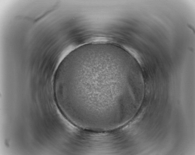 X0000096221475200801251046