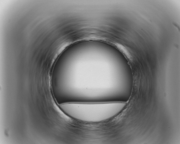 X0000096221476200801251046