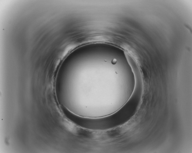 X0000096221477200801251046