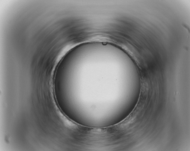 X0000096221478200801251046