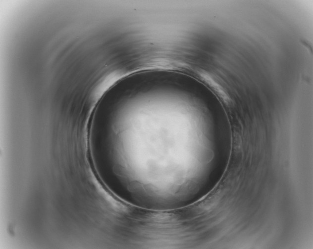 X0000096221479200801251046