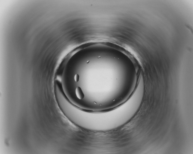 X0000096221480200801251046