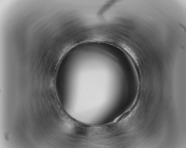 X0000096221481200801251046
