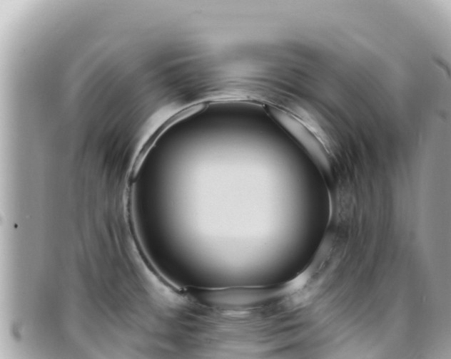 X0000096221484200801251045