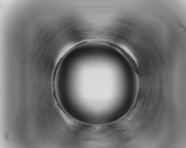 X0000096221485200801251045