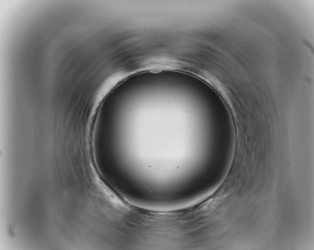 X0000096221488200801251045