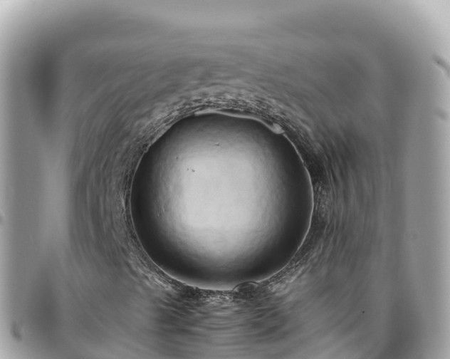 X0000096221489200801251045