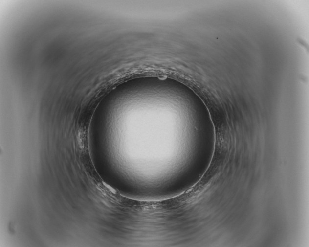 X0000096221490200801251045