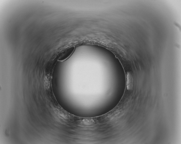 X0000096221491200801251045