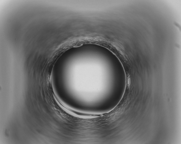 X0000096221492200801251045