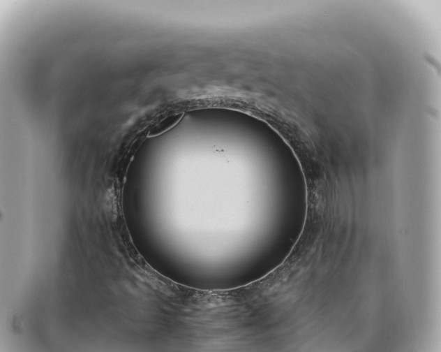 X0000096221493200801251045