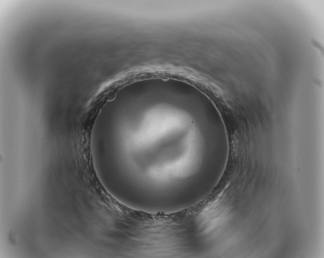 X0000096221494200801251045