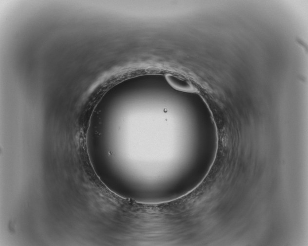 X0000096221495200801251045