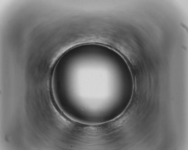 X0000096221500200801251045