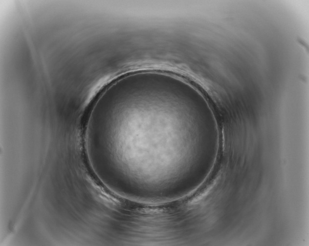 X0000096221501200801251045
