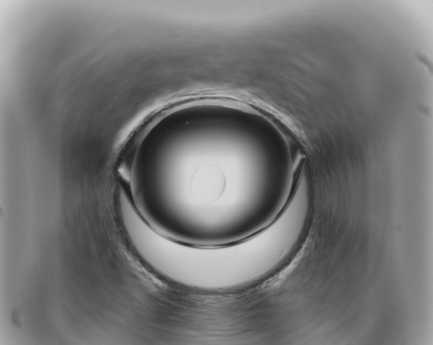 X0000096221502200801251045