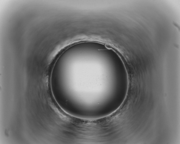 X0000096221503200801251045