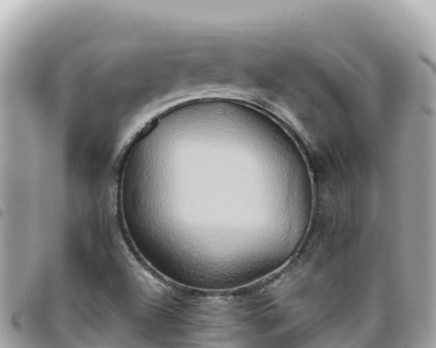 X0000096221504200801251045