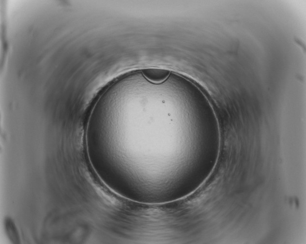 X0000096221507200801251045